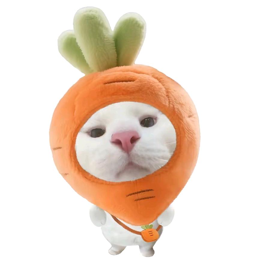 嘁哟秋