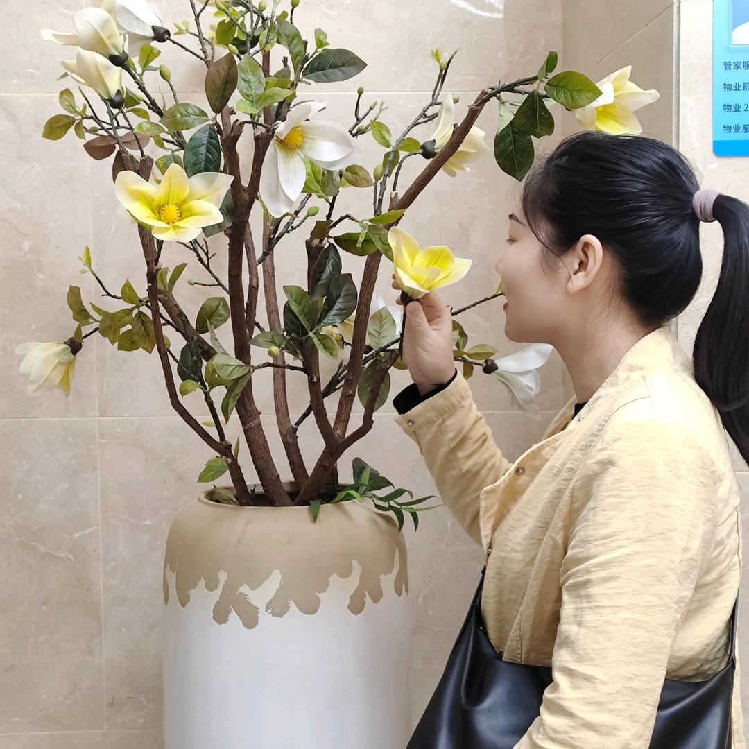 🌺两个女儿的宝妈🌺
