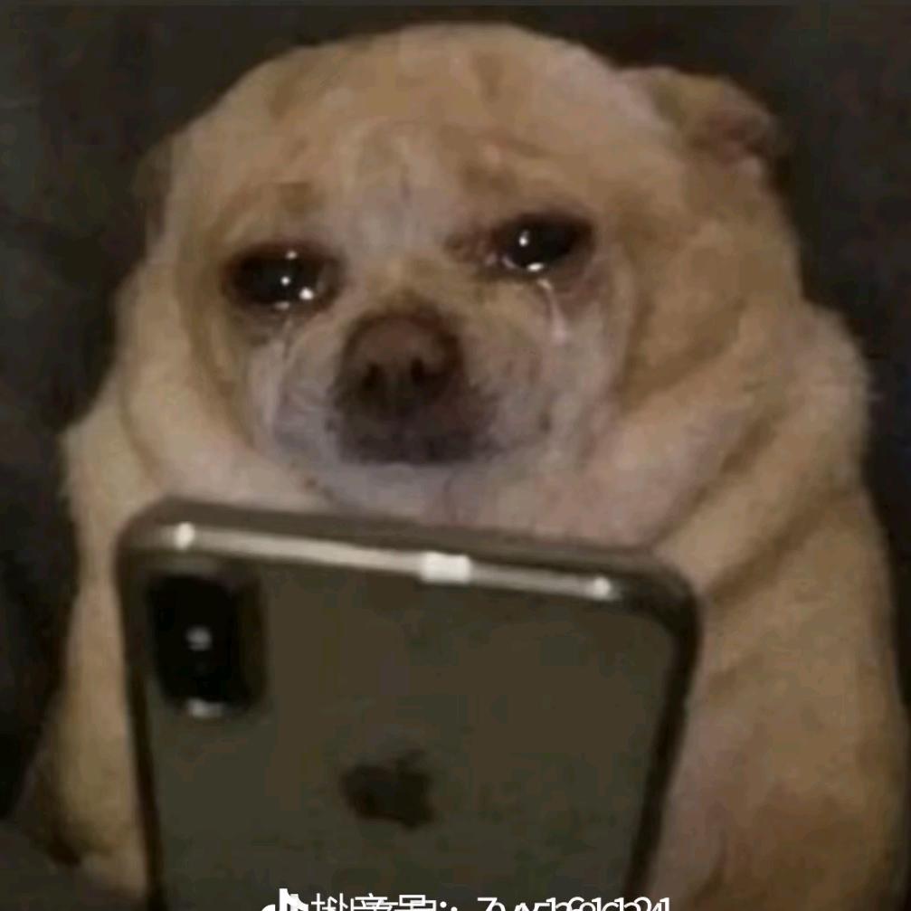 我的被子😭