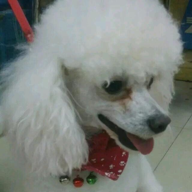 徐哈利😀😀
