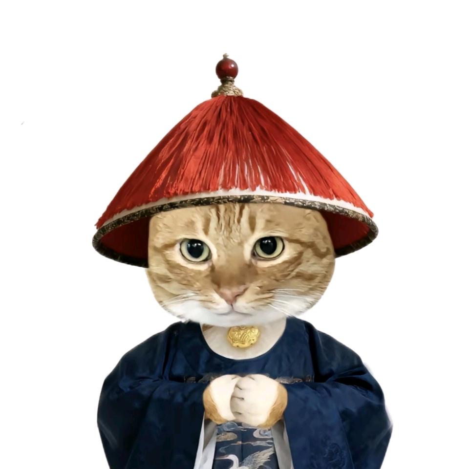 装逼失败被打成猪头