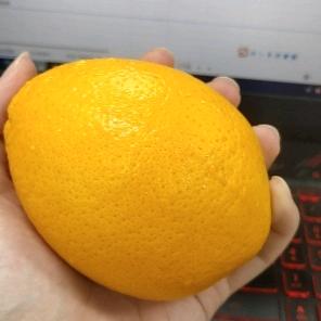 加油布鲁斯