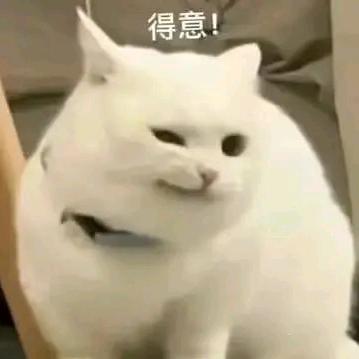 湖畔南方古猿头像