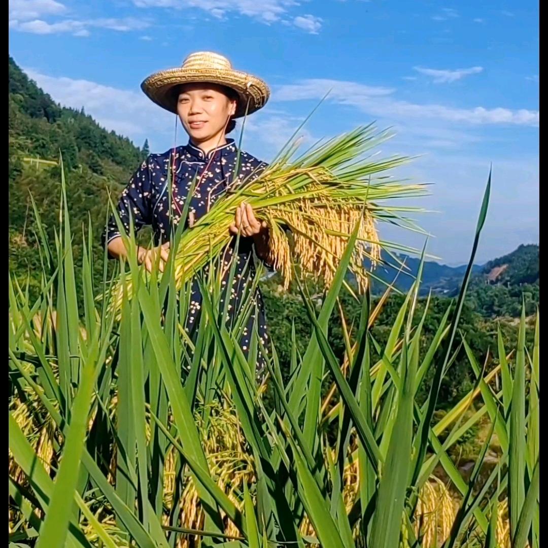 三江晓北
