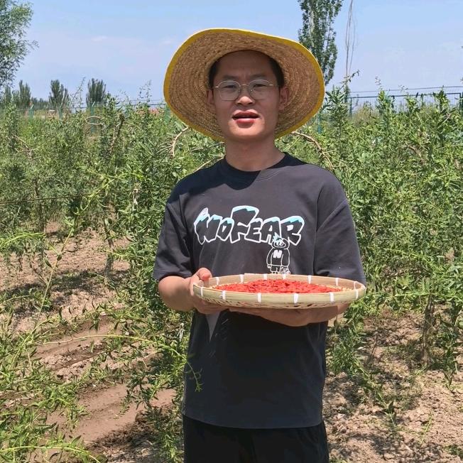 杞小农宁夏枸杞