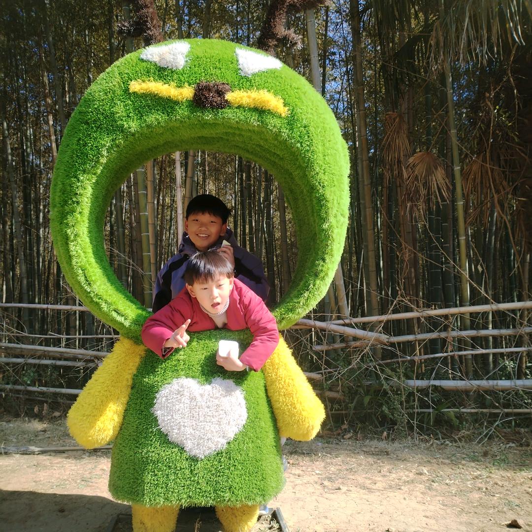 🙈🐒🐵🐉🐉🐉🐉🐉