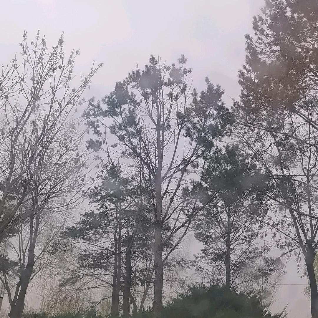顺风车之浪迹天涯