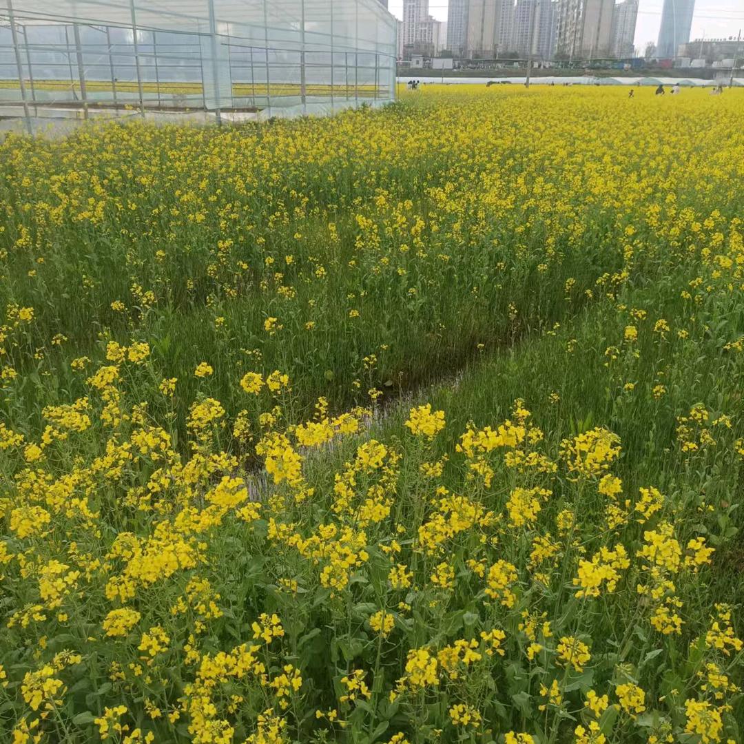 零食百货