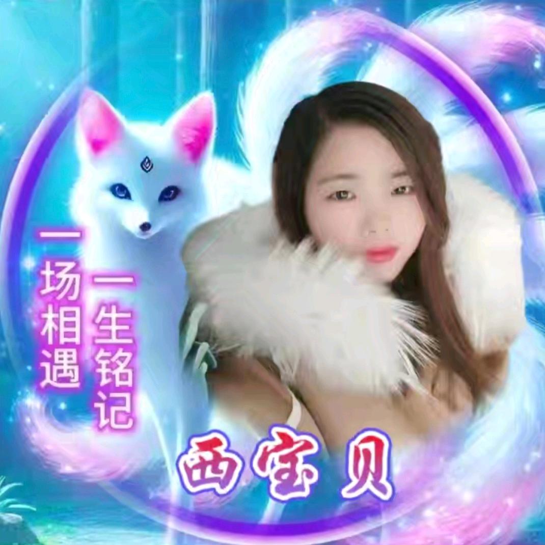 西宝贝