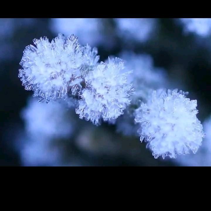 一路看风景⑤号