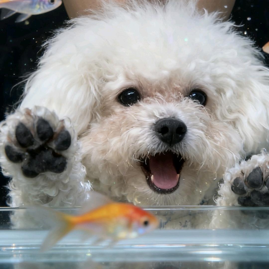 宇宙无敌超级霹雳啪啦屌炸天的暴龙战士