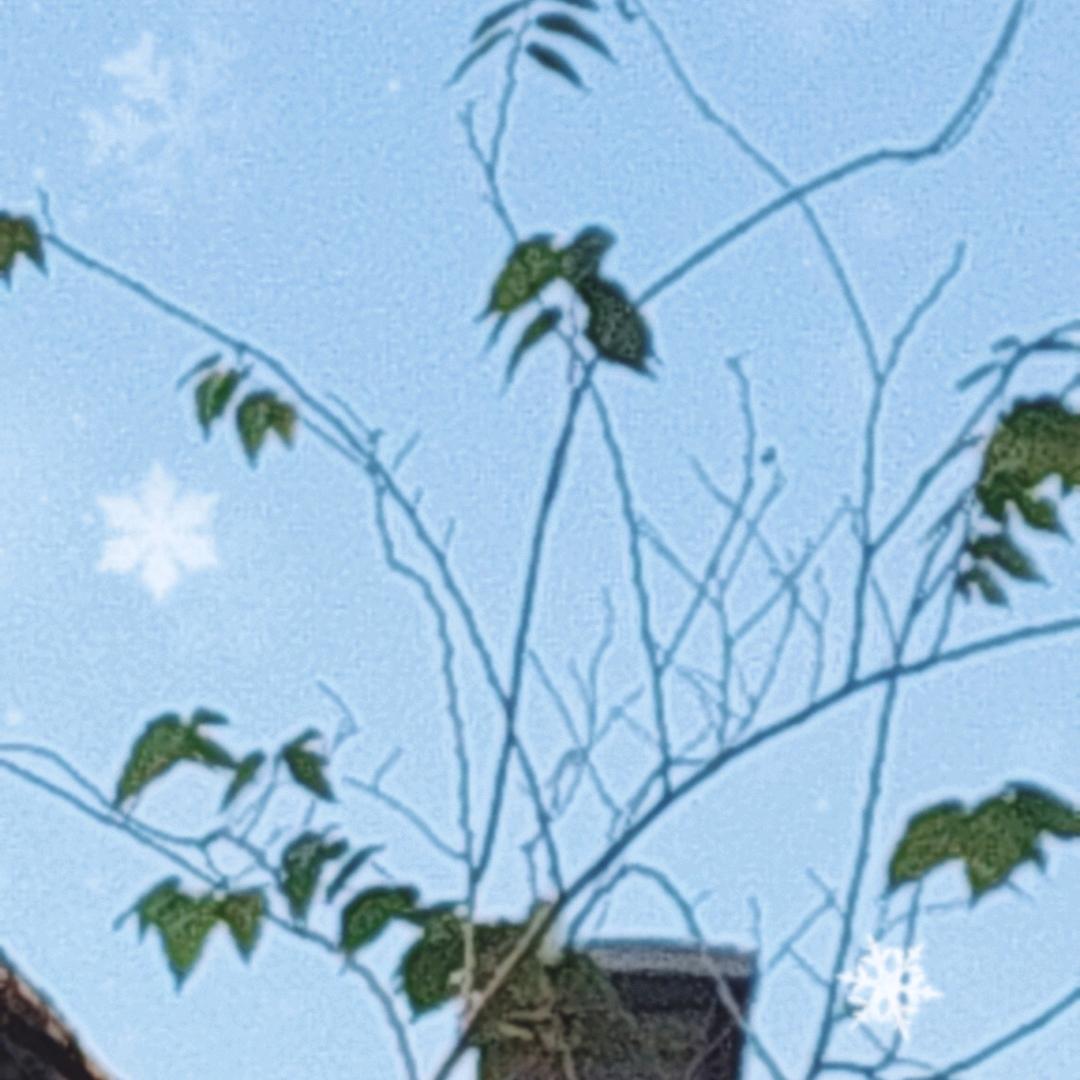 我爱吃喝抹茶味