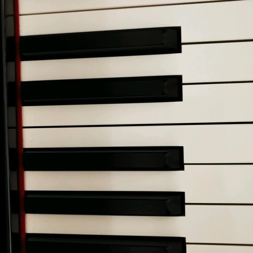 可以姐