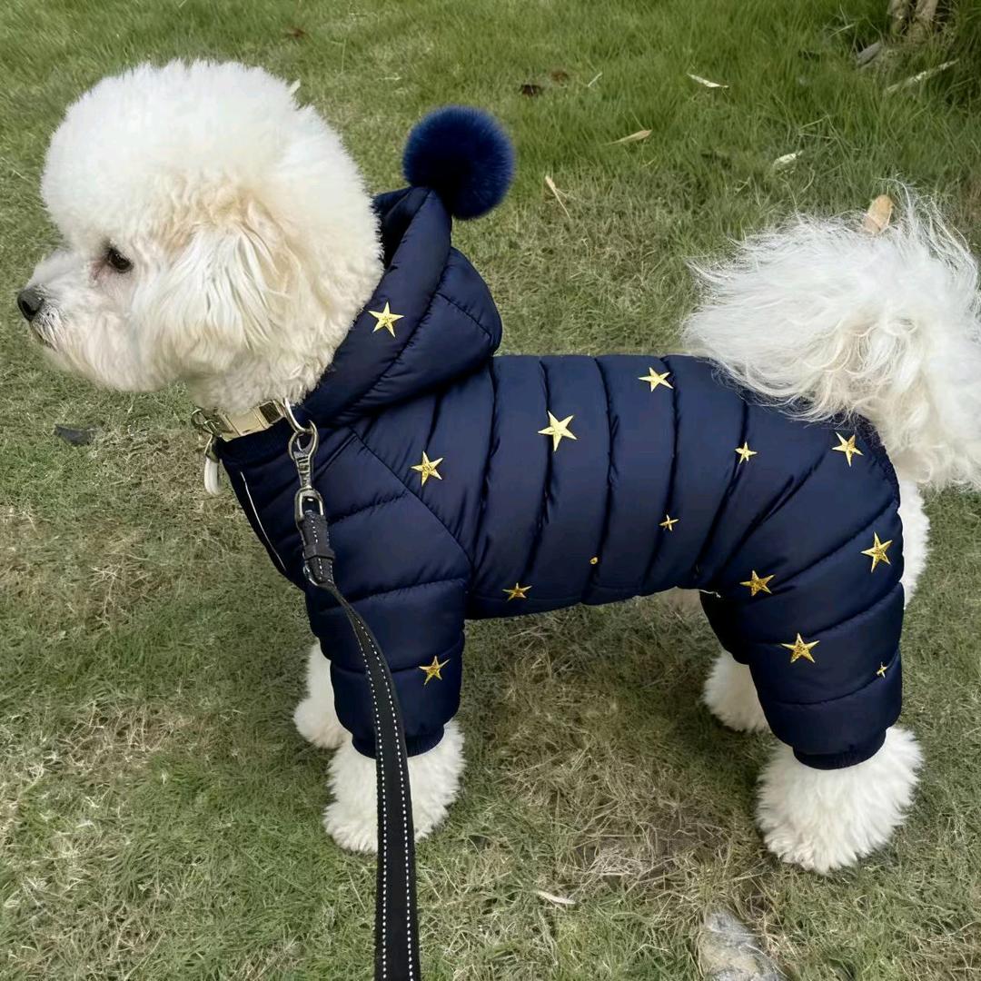 小可爱