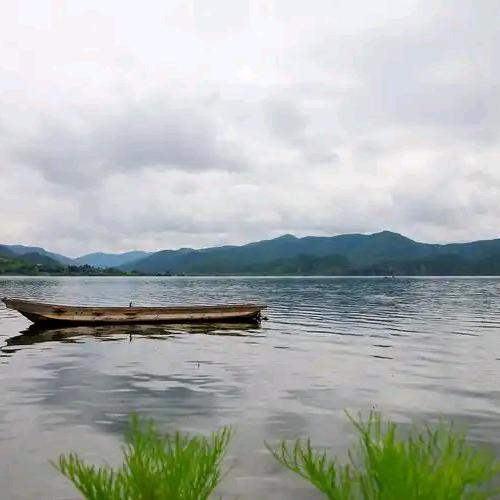 上前左右