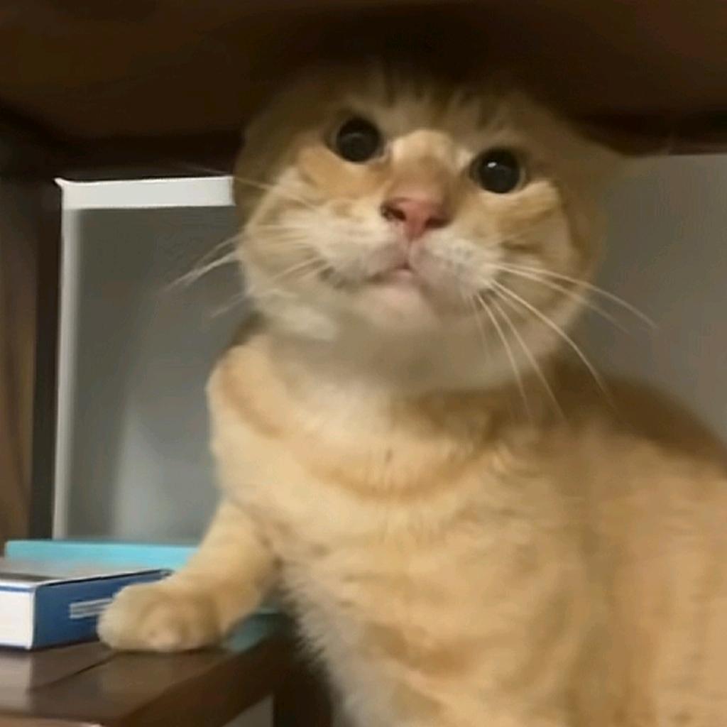 来自理塘的向日葵🌻