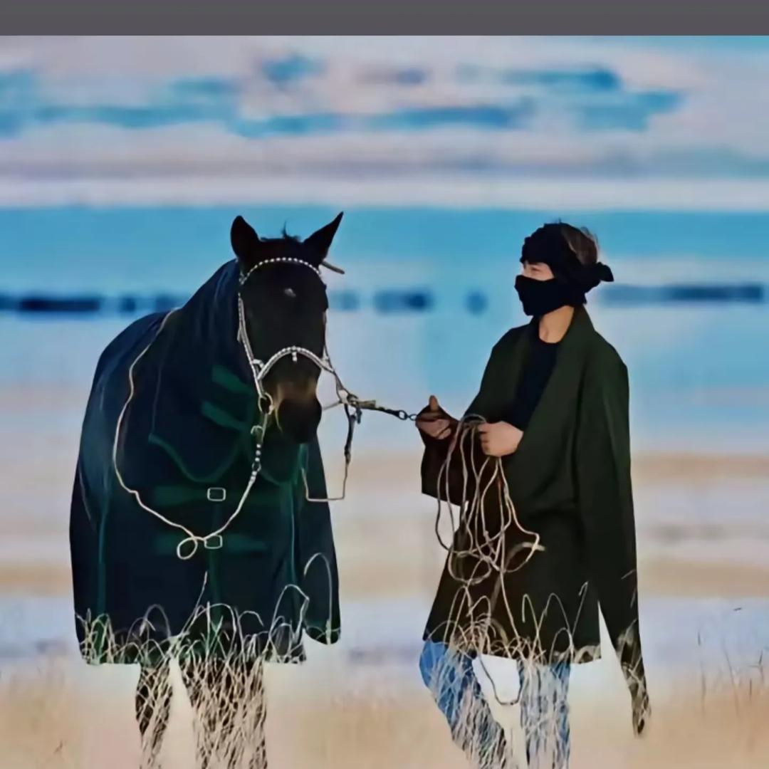 阿扎-𝑽𝑰𝑷~ ?