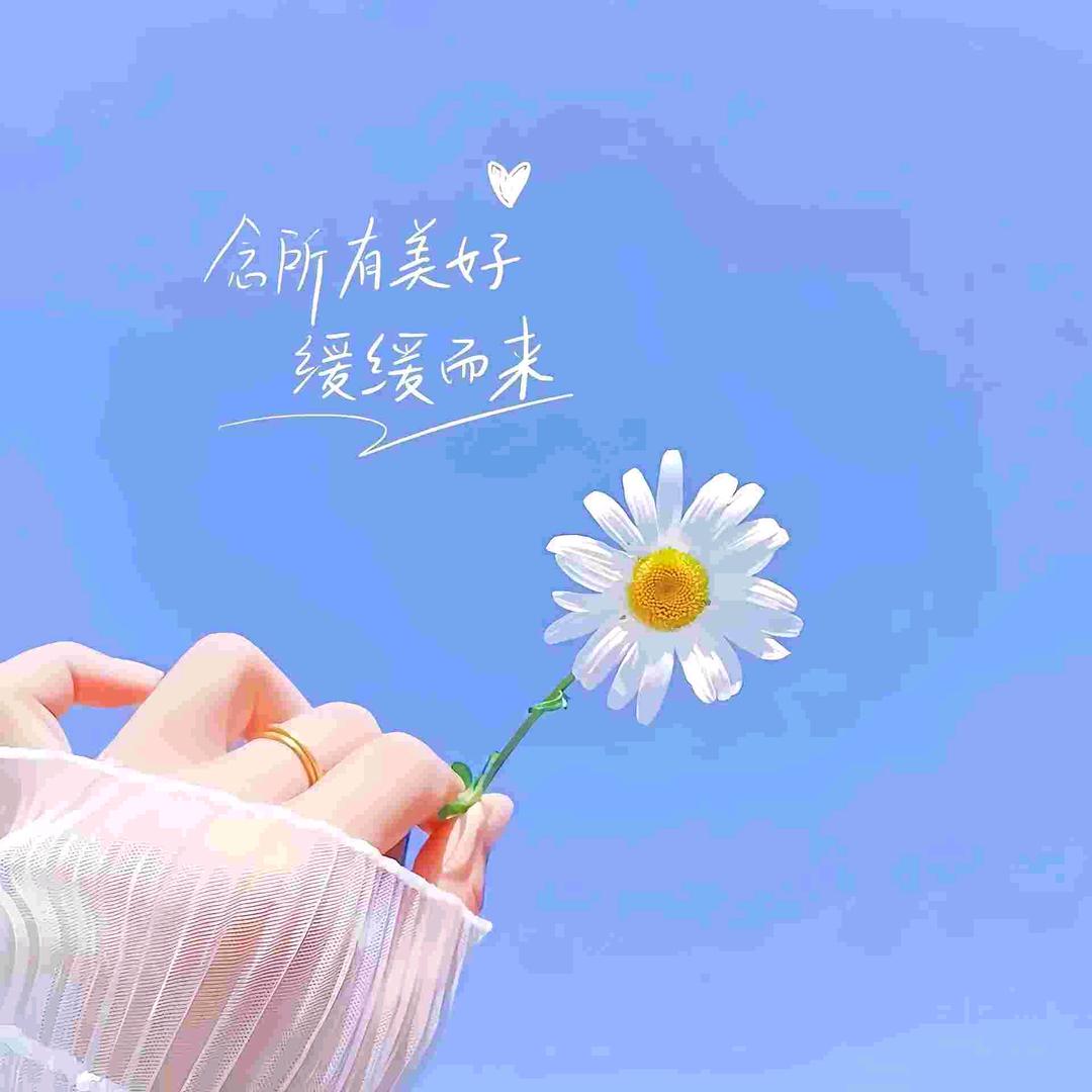文丽