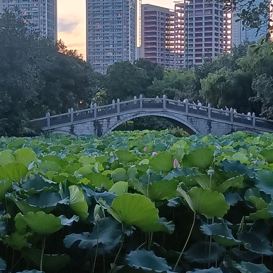 从头再来