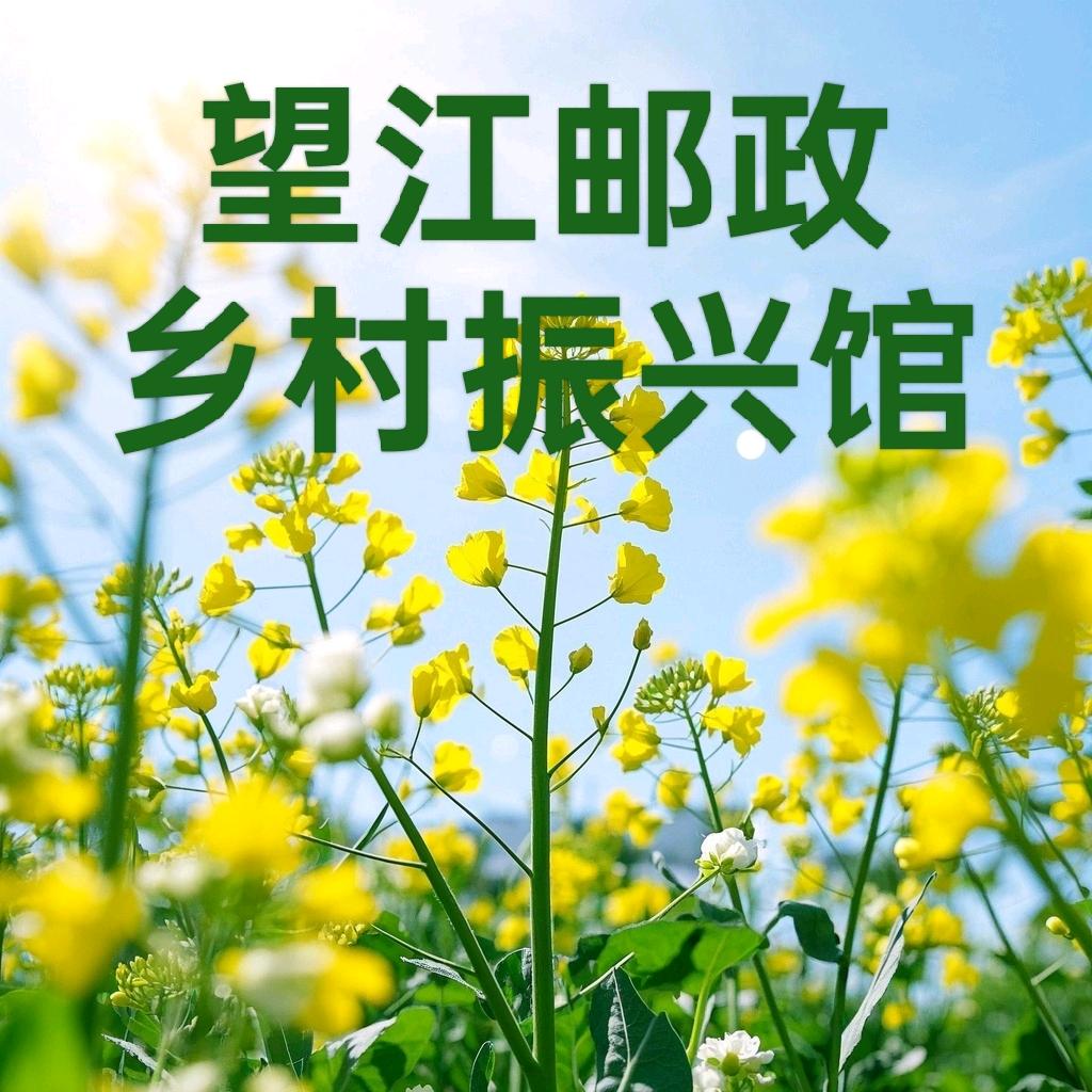 望江邮政乡村振兴馆