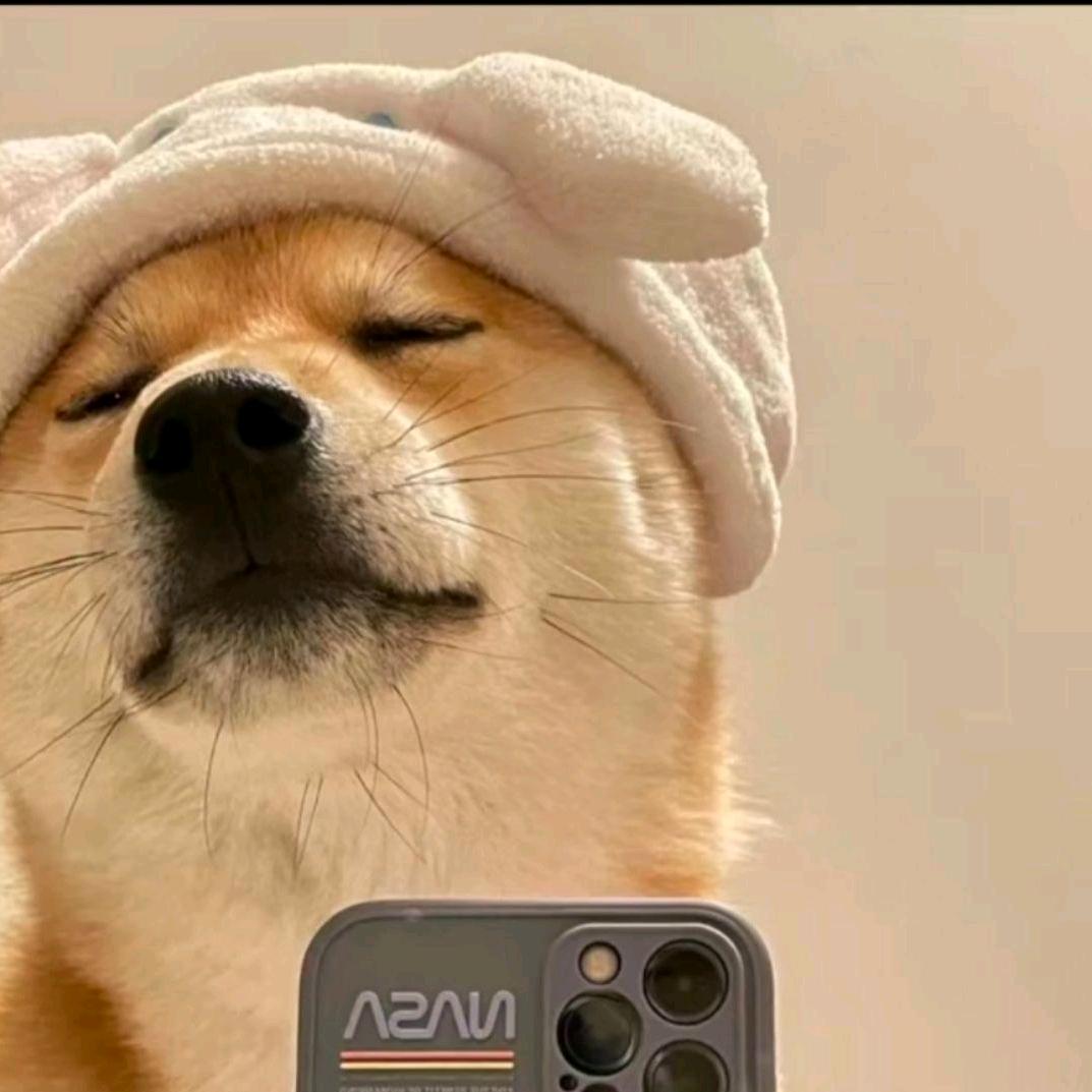 小猪仔饲养员