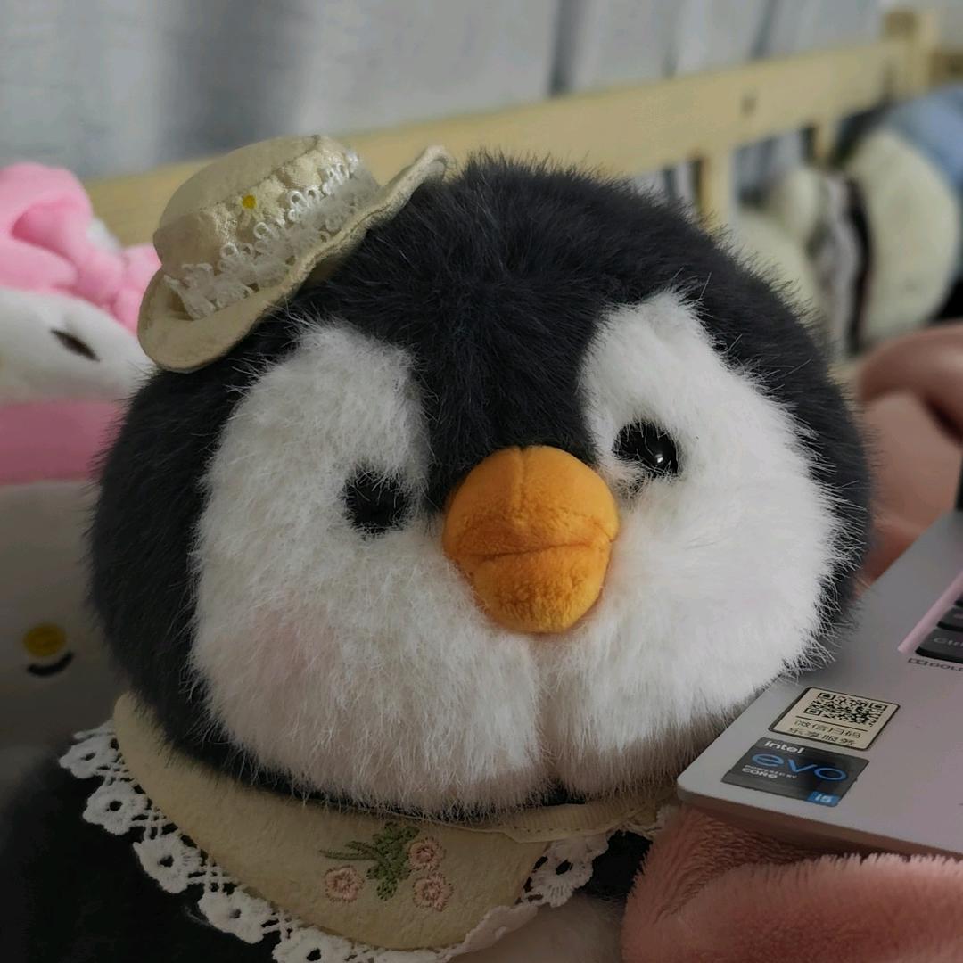 化州石湾小博车行严选铺