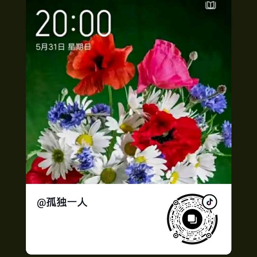 刘总孤独一人
