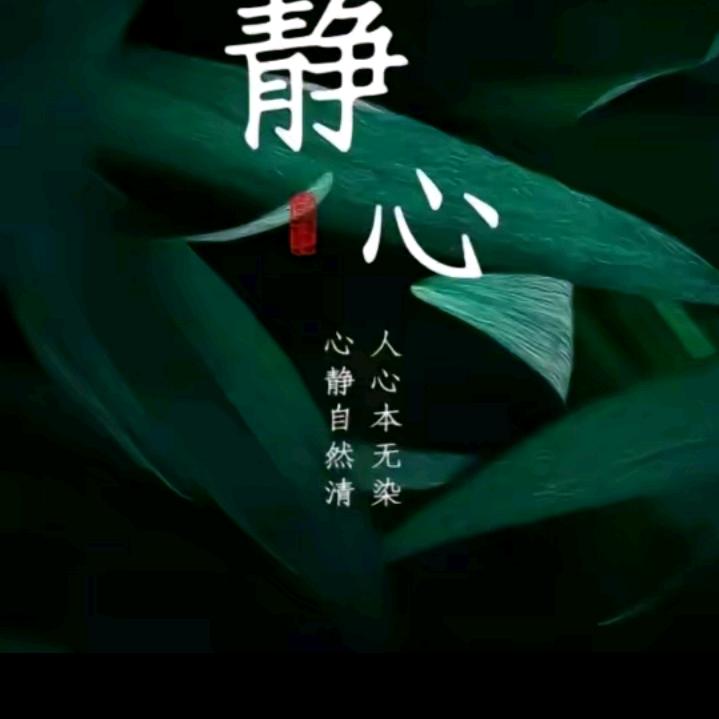 人走茶凉