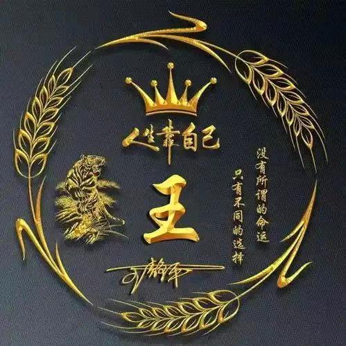 羊肚菌种植，飞哥