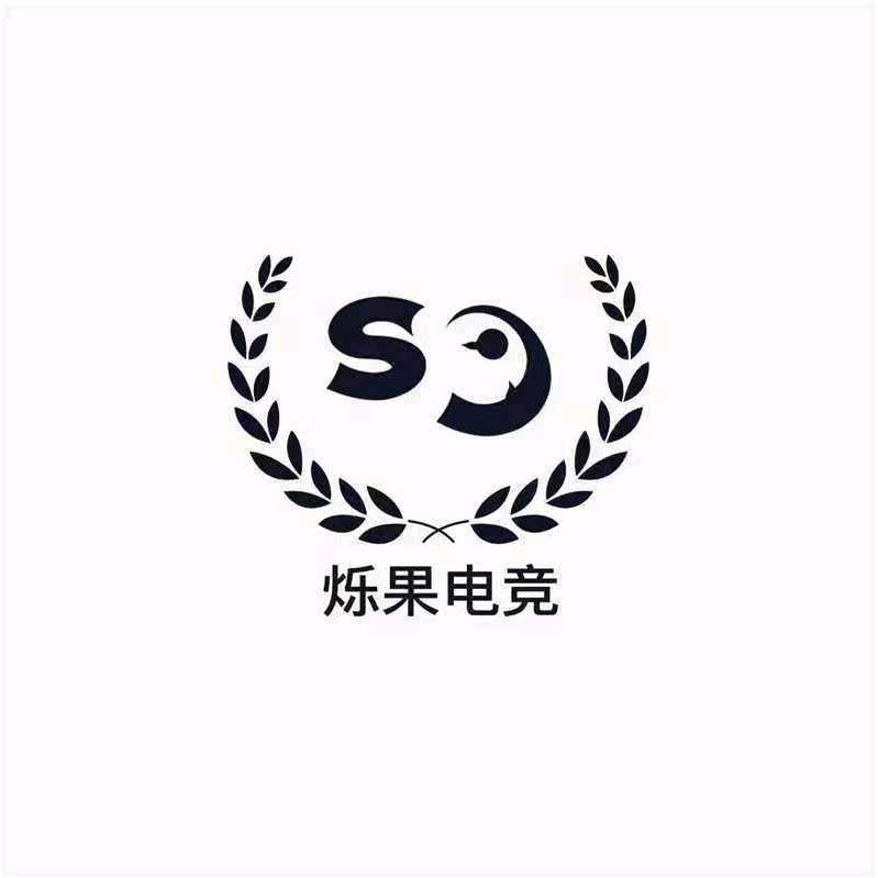 烁果电竞-小元