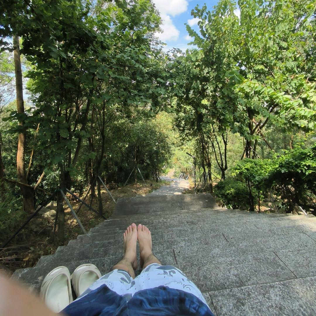 细看确实挺残忍