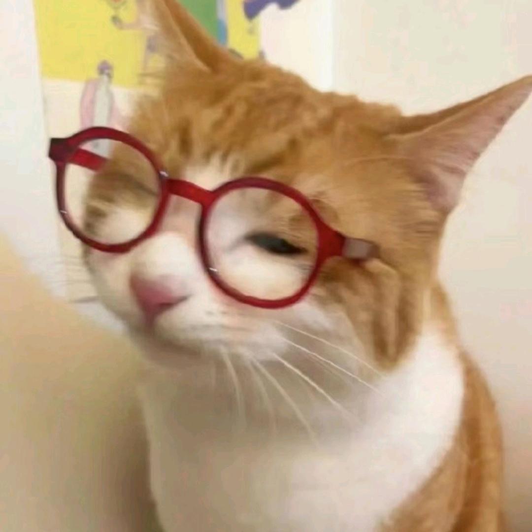 漫漫安年