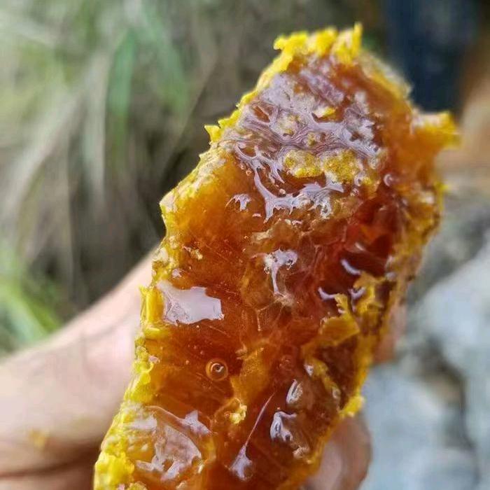 大山里的80后