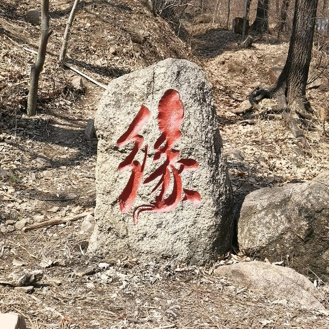 🌵半世👉流離**