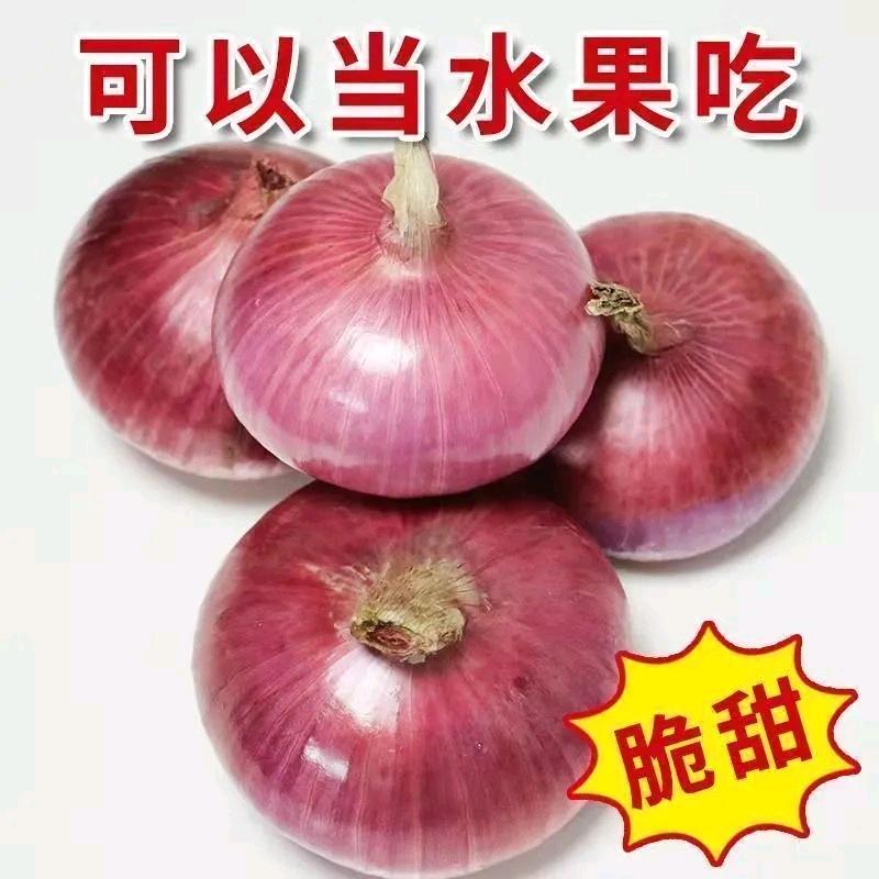 土豆 洋葱 红萝卜产基地