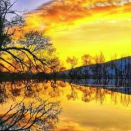 🔥半盏✨流年✨