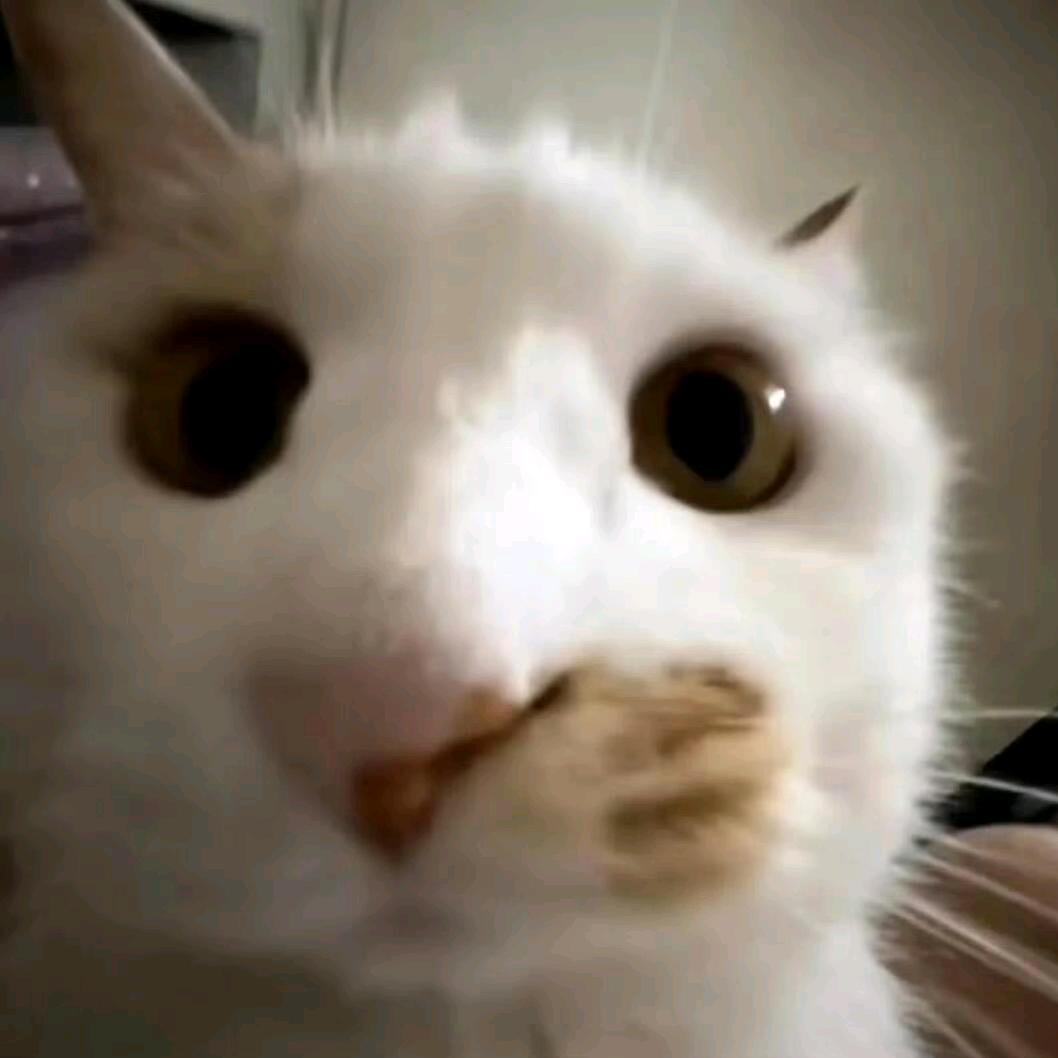 减肥十年失败原是爱胀气带来的啤酒肚🍺