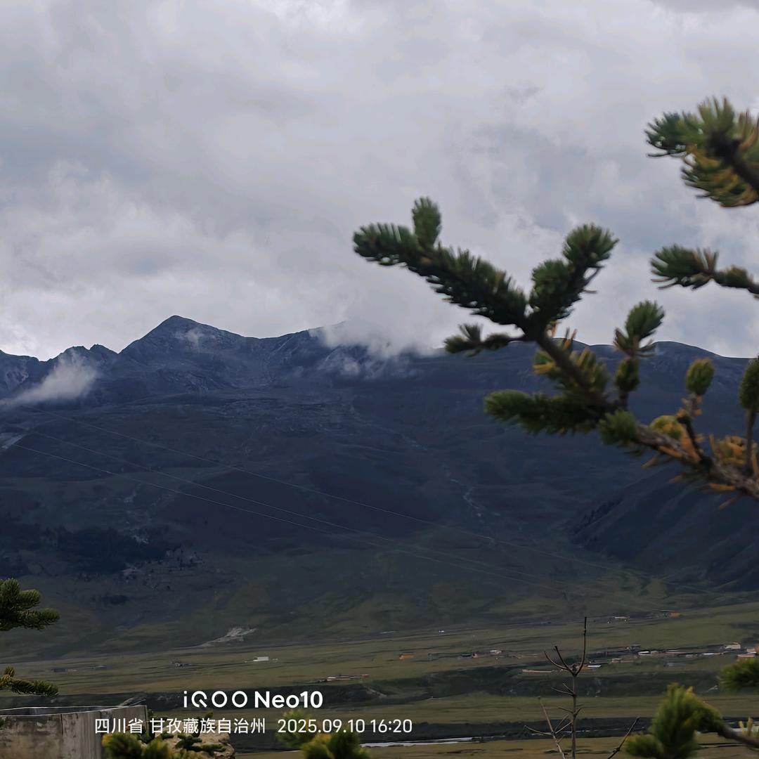 我在理塘占山为王