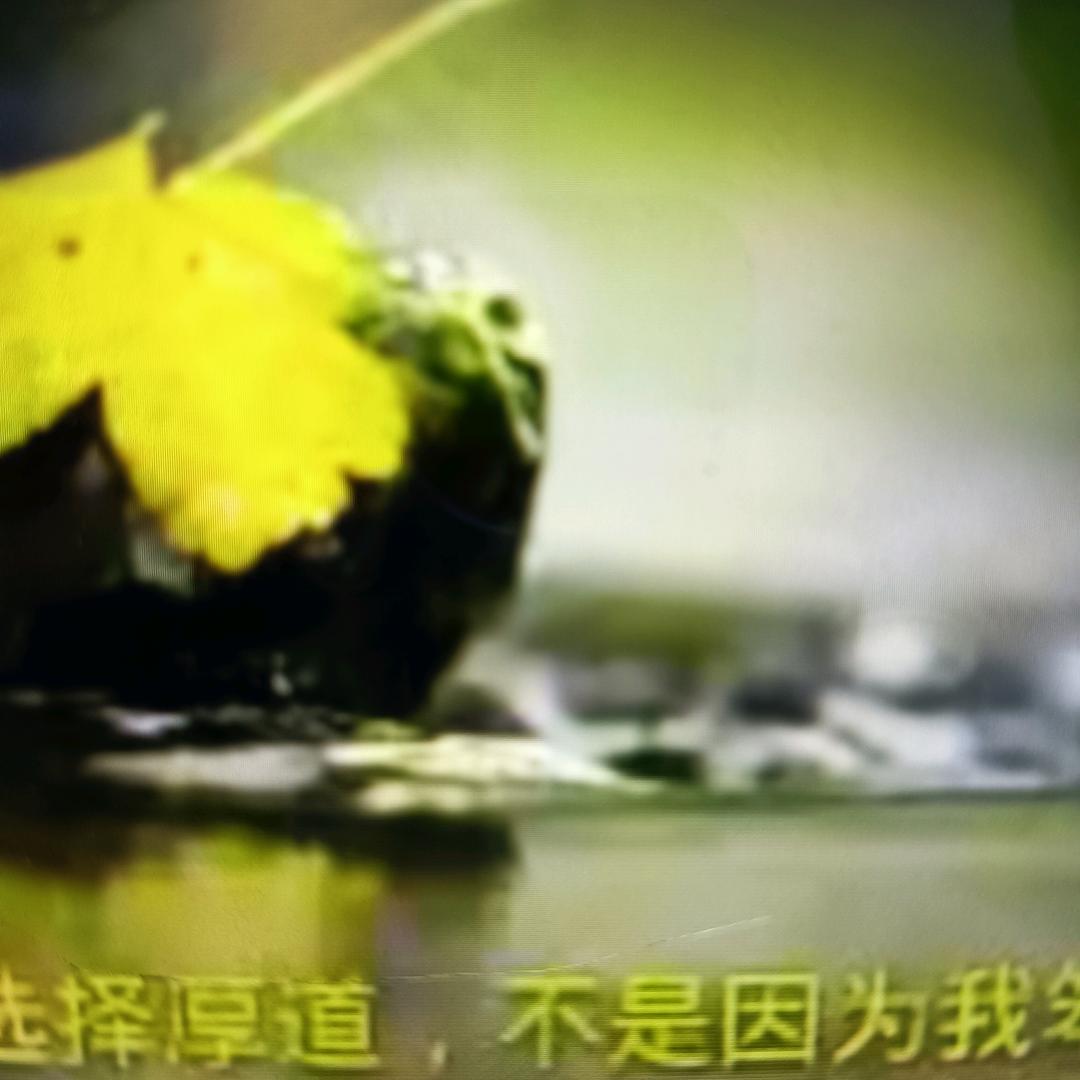 开开心心