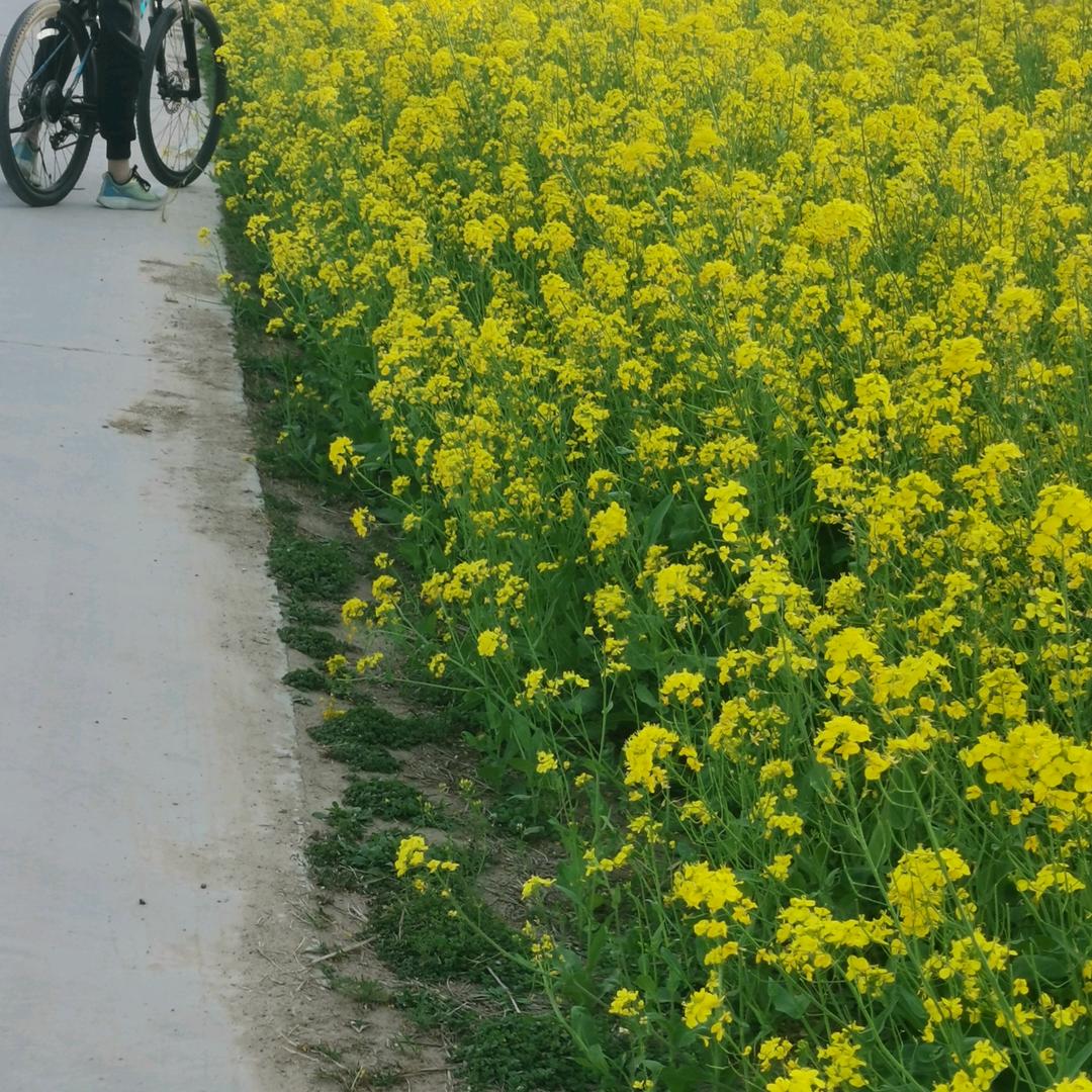 用户497398480299