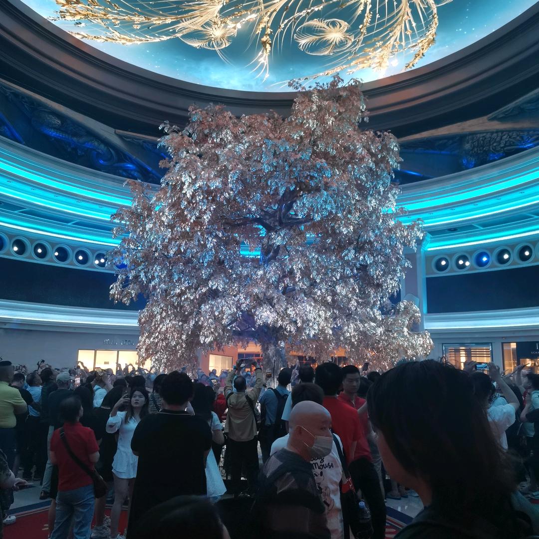 水际听摇橹声