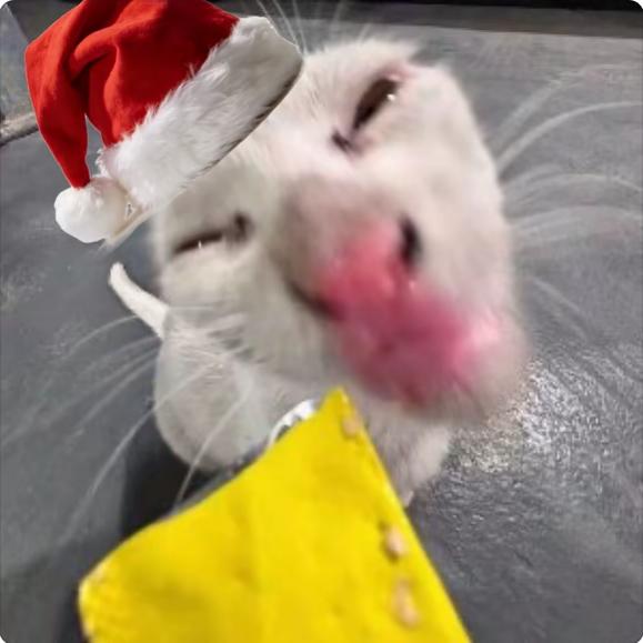 缺心眼的骷髅兵