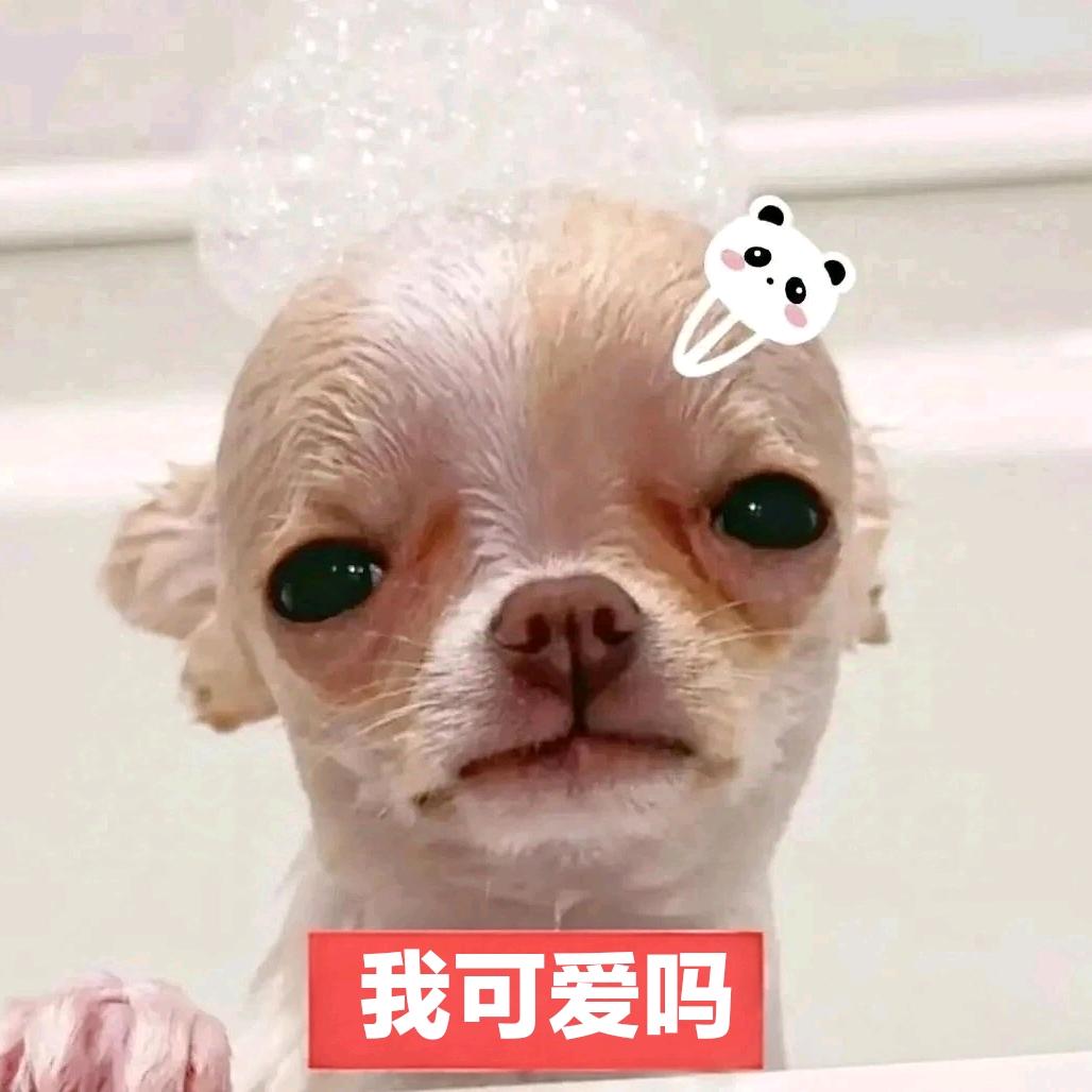 王大王