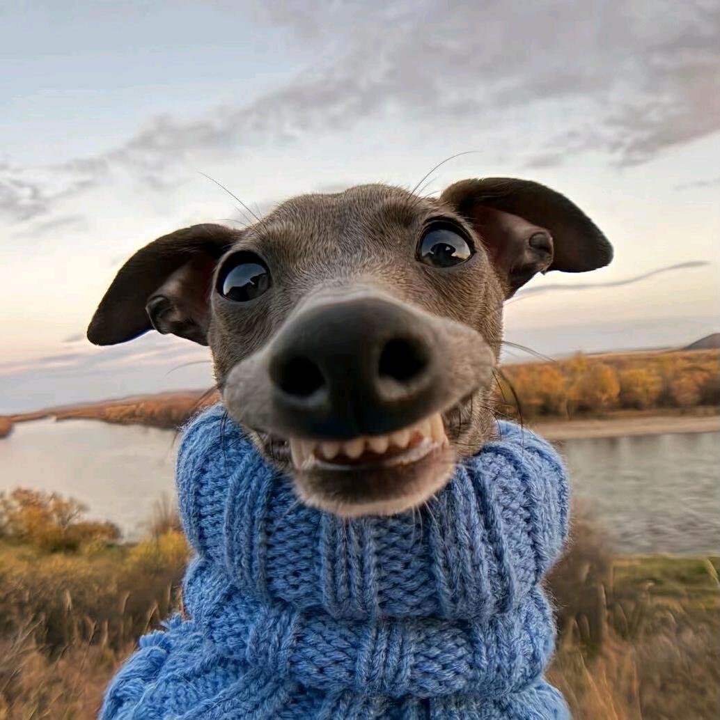 铃风愿（备战五天五岳）