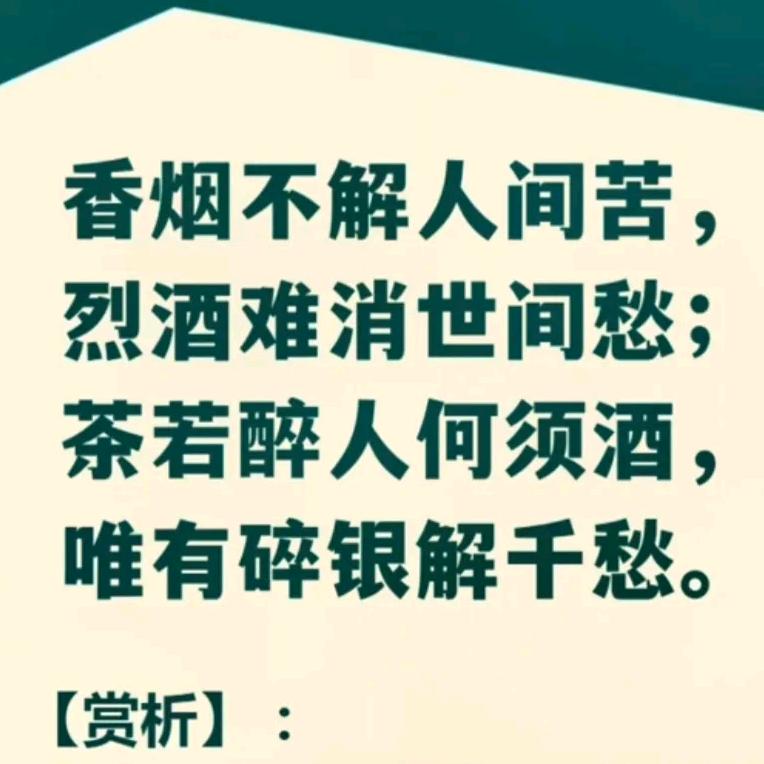 旧绪焚尽字生香
