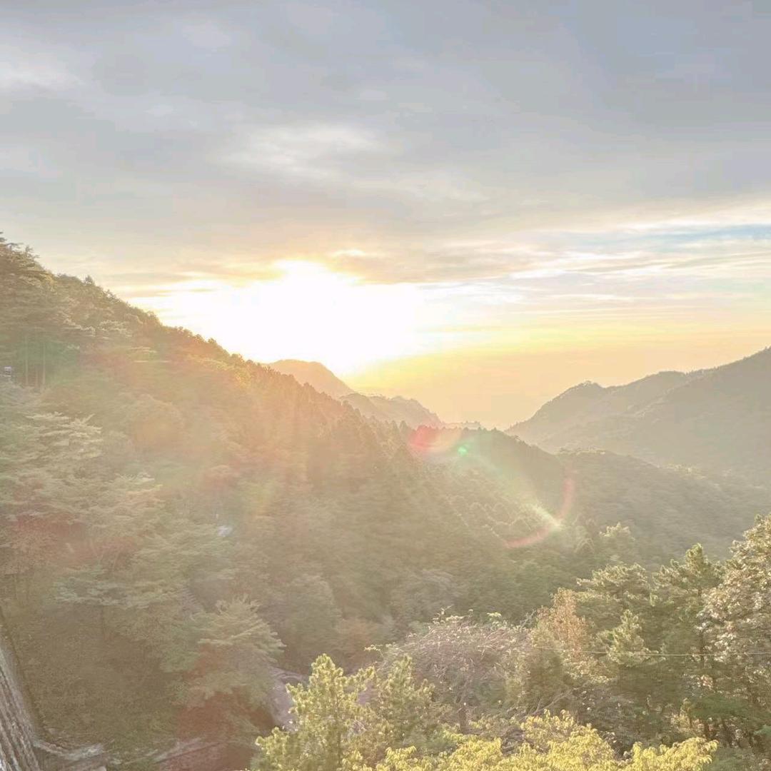 秦夏岚