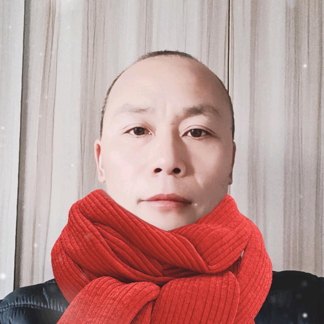 赵歌