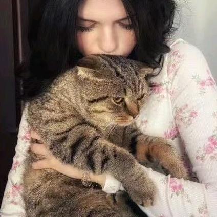 ㅤㅤㅤㅤㅤㅤ你是真的Cㅤㅤㅤㅤㅤ