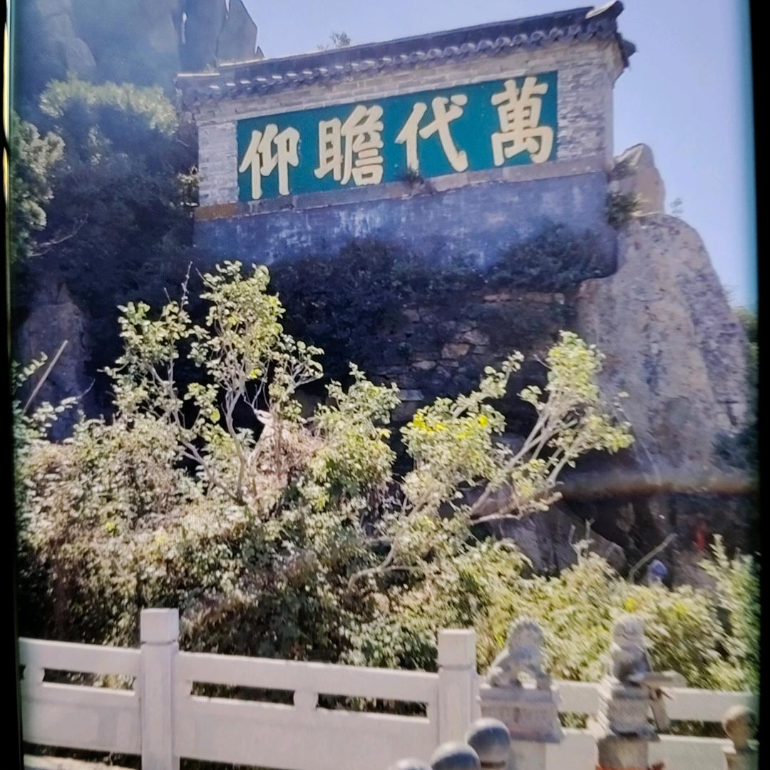 老香根⑥