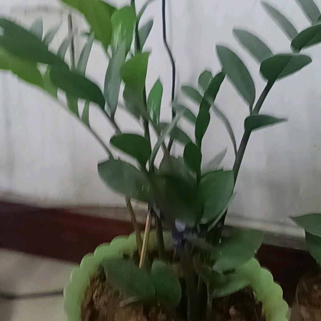 塞班
